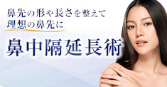 鼻中隔延長術